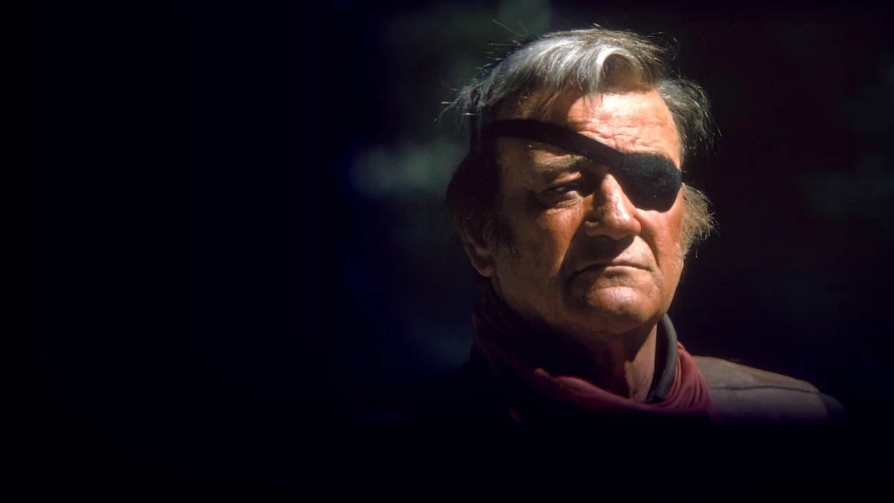 True Grit - Westerns on Netflix