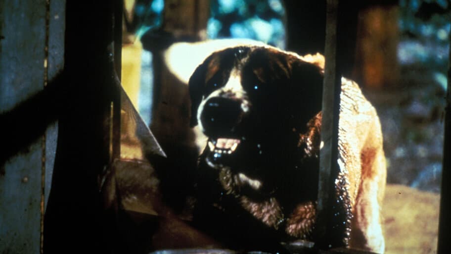 Cujo