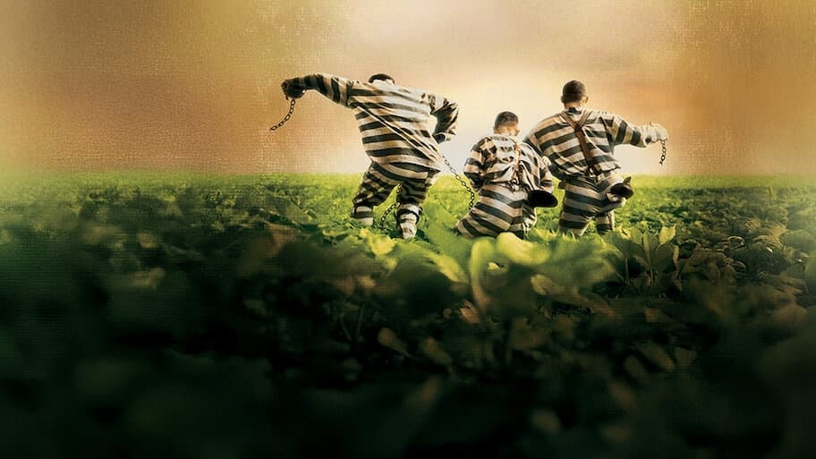 O Brother, where art thou?