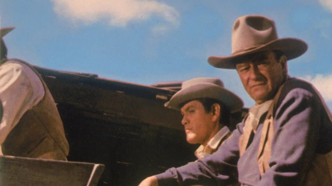 The Sons of Katie Elder - Westerns on Netflix