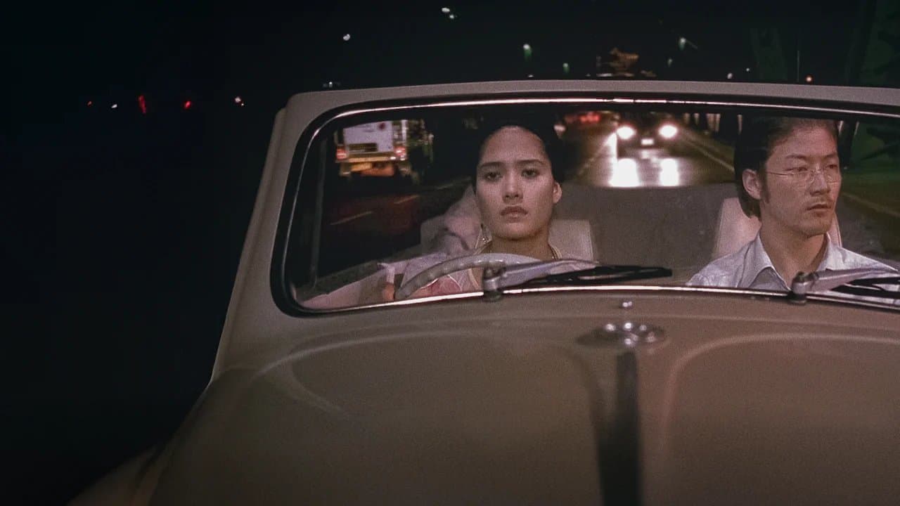 Last Life in the Universe