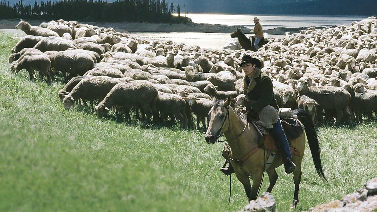 Brokeback Mountain - Westerns on Netflix