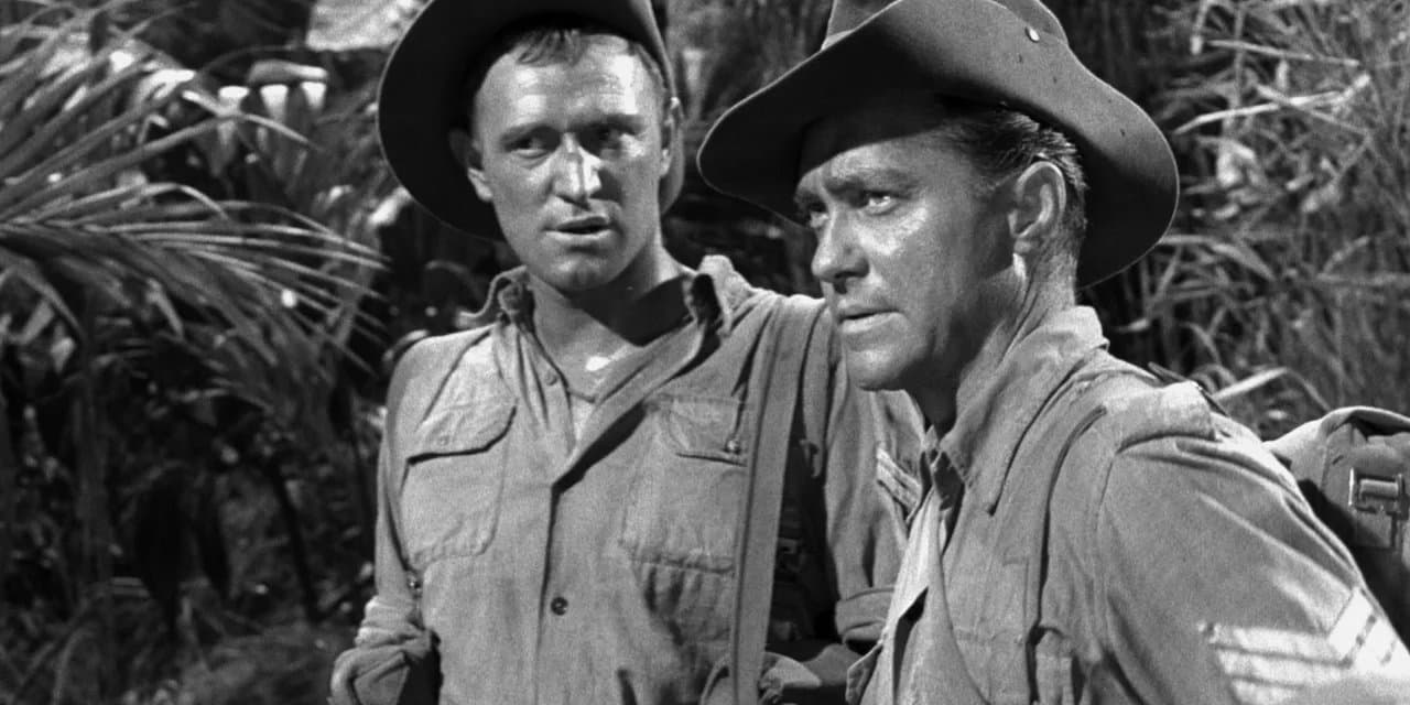 The Long and the Short and the Tall