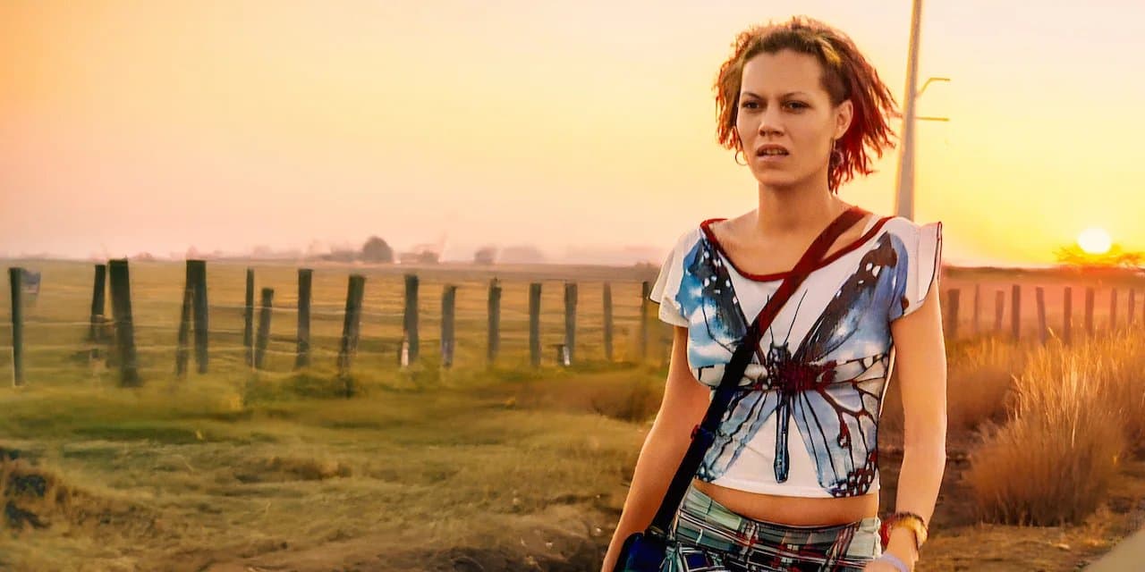 Love for Sale: Suely in the Sky