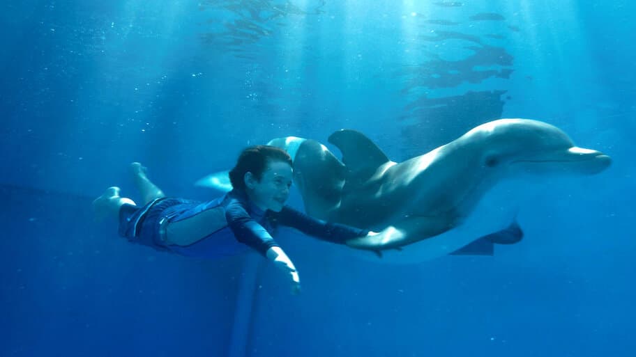 Dolphin Tale - Netflix availability