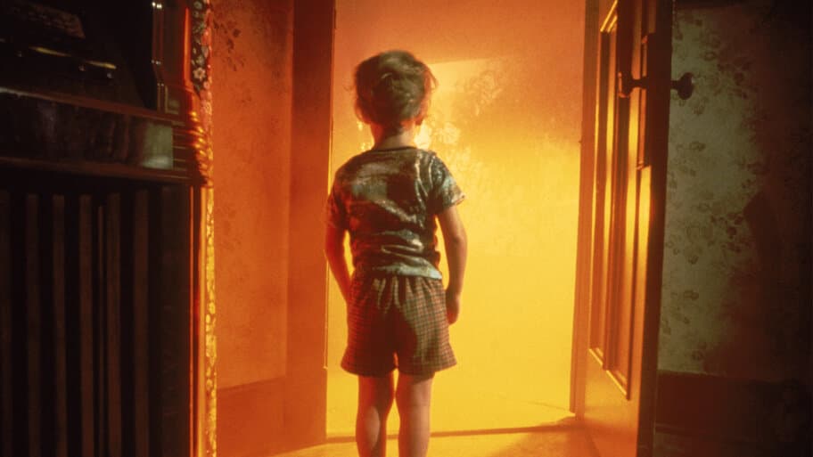 Close Encounters of the Third Kind: Director's Cut