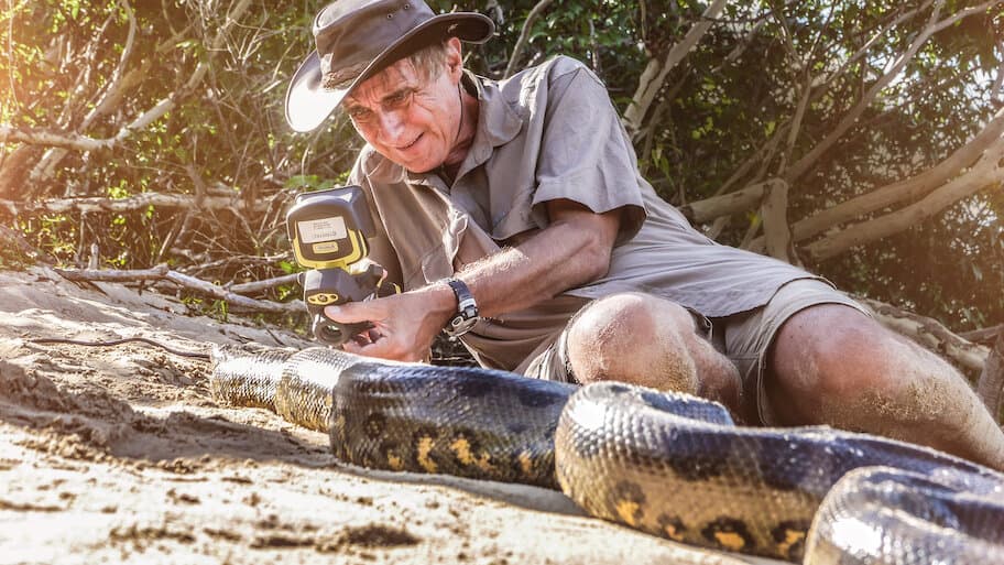 Anaconda - Silent Killer