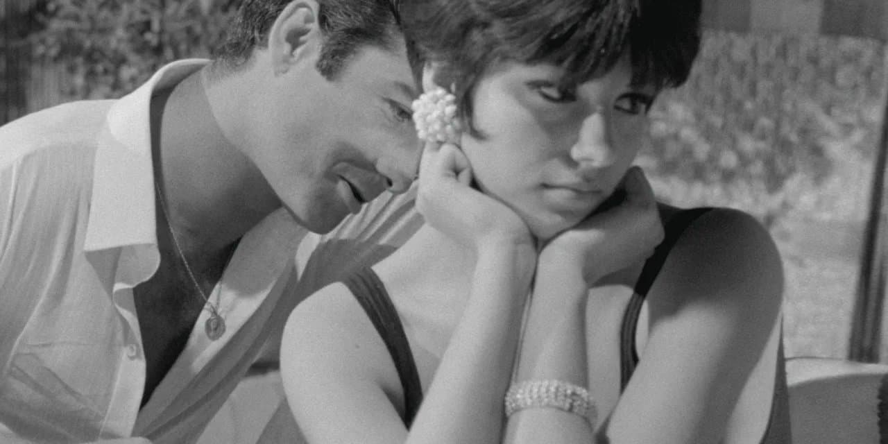 Io la conoscevo bene