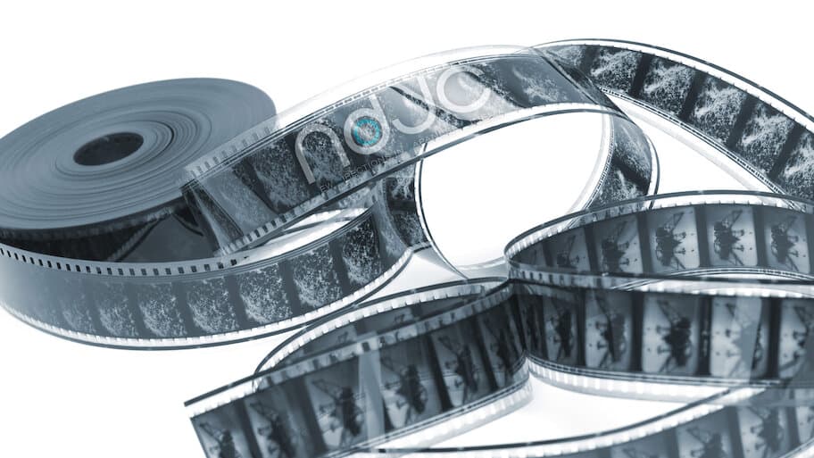 New Directions in Japanese Cinema