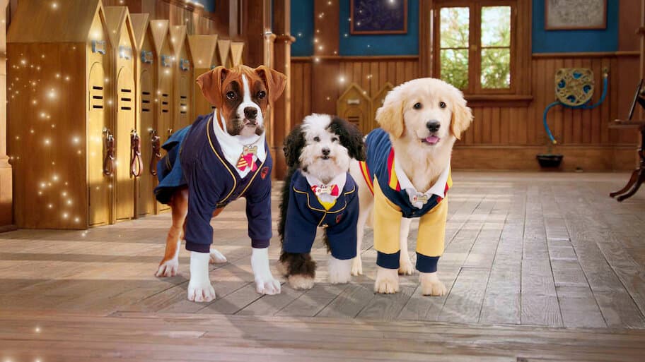 Pup Academy