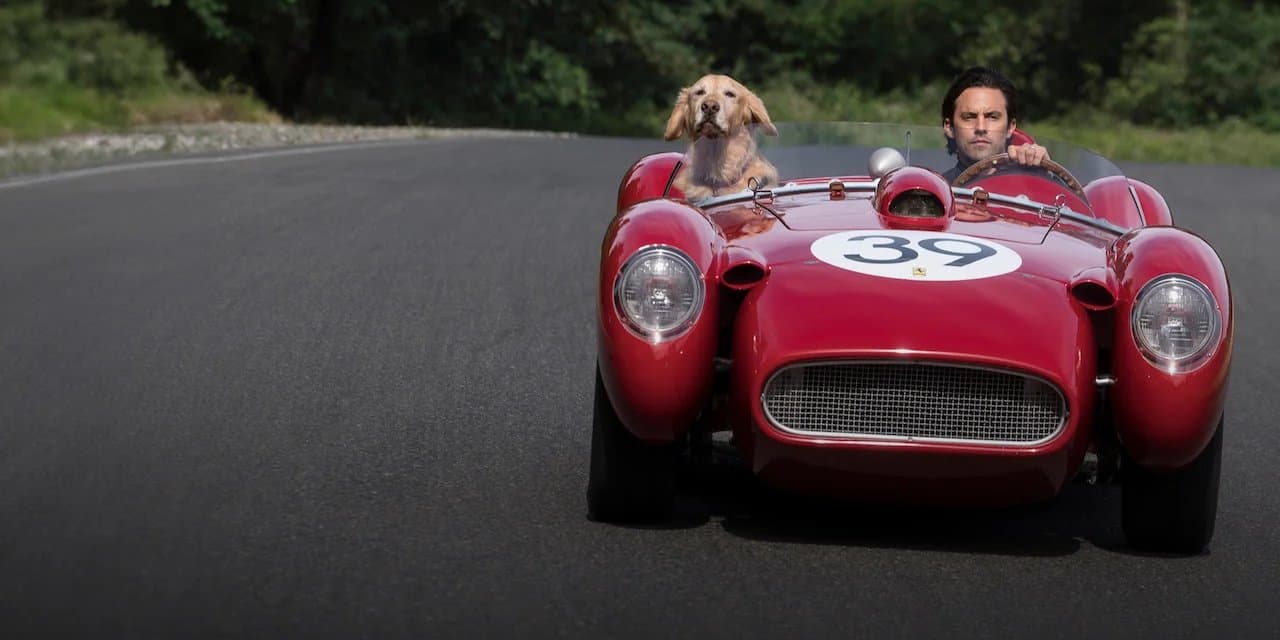 The Art of Racing in the Rain