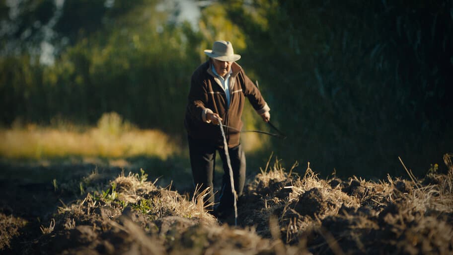 El Pepe, a Supreme Life