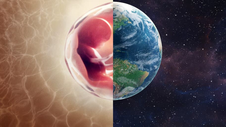 Human: The World Within