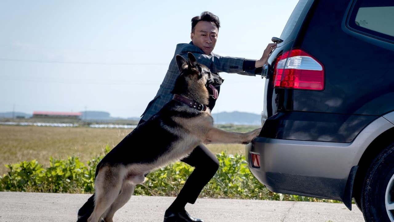 Mr. Zoo: The Missing VIP