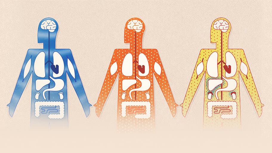 Coronavirus, Explained