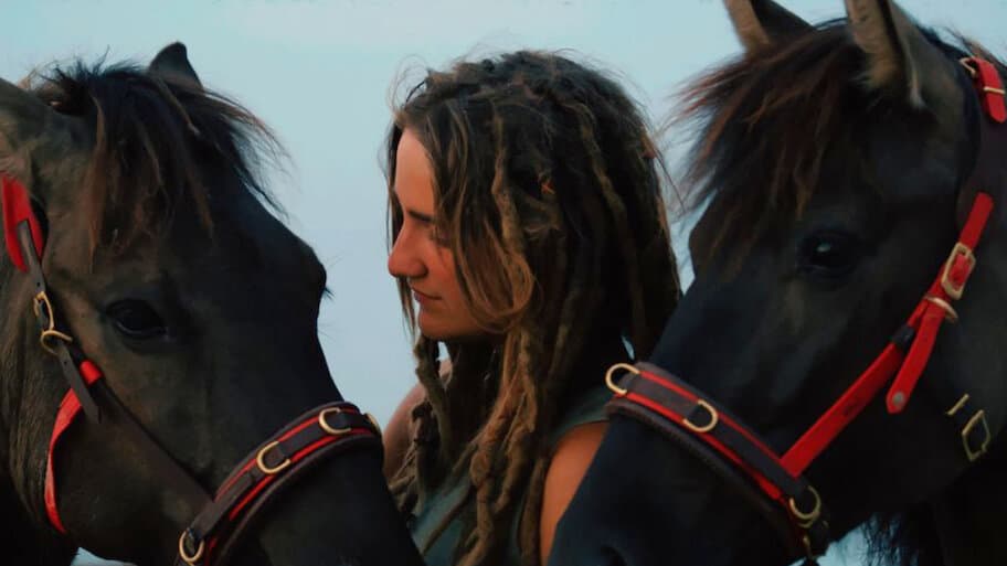 Magic Of The Wild Horses