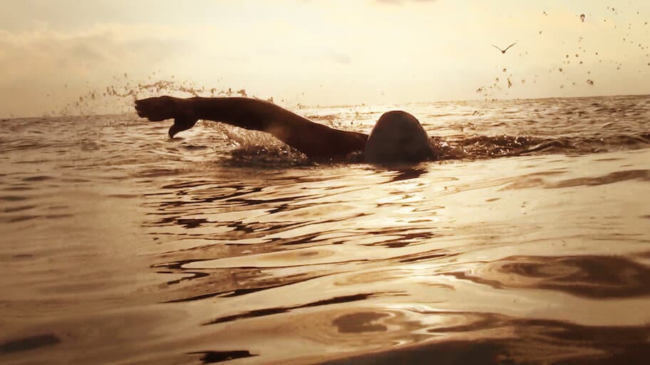 100 Millions Swimming