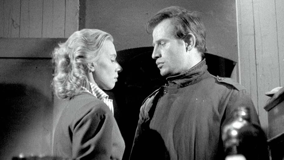 Seagulls Die in the Harbour