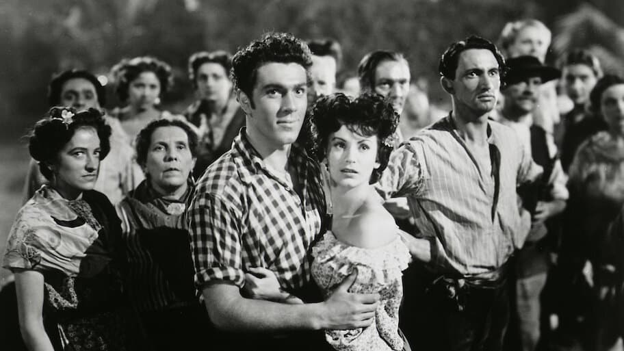 A Man About the House