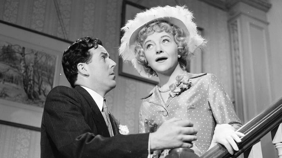 The Night We Got the Bird