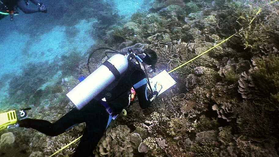 Expedition Wallacea – The Cradle of Marine Life