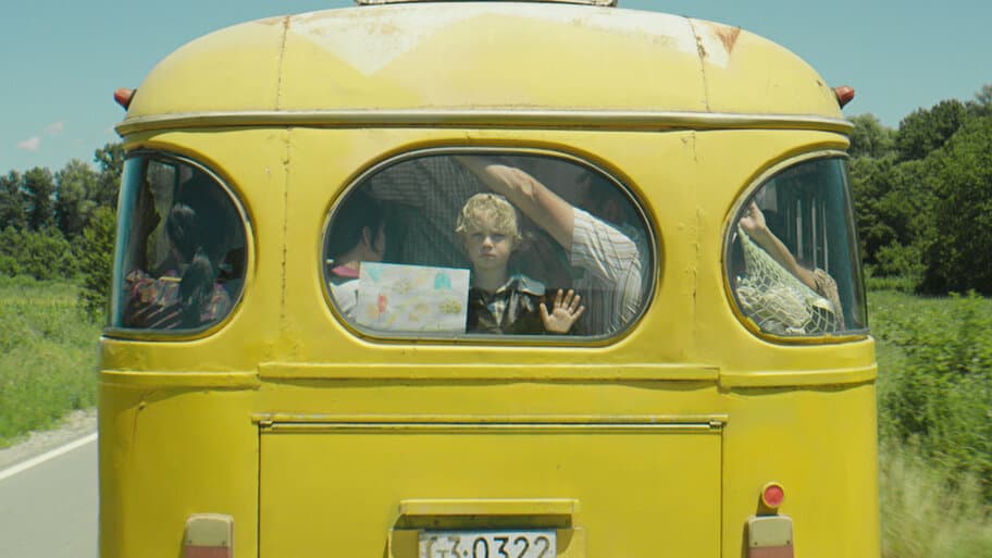 Damascena: The transition