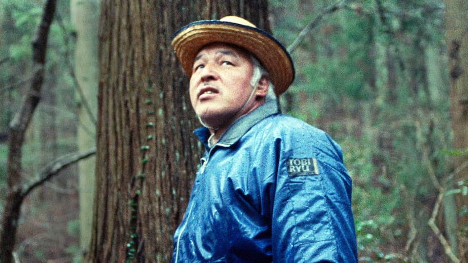 Half Life in Fukushima