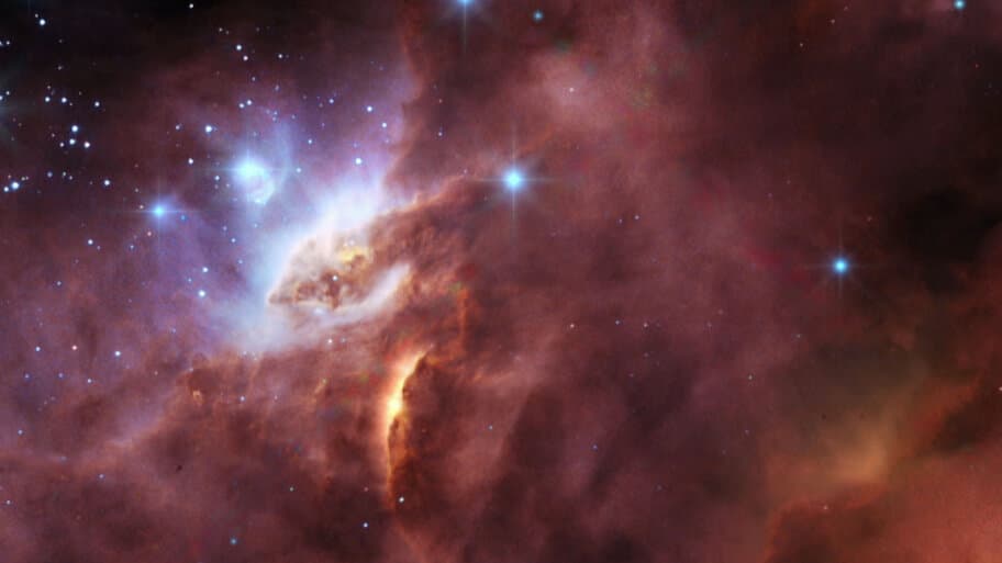 Life Behind the Stars