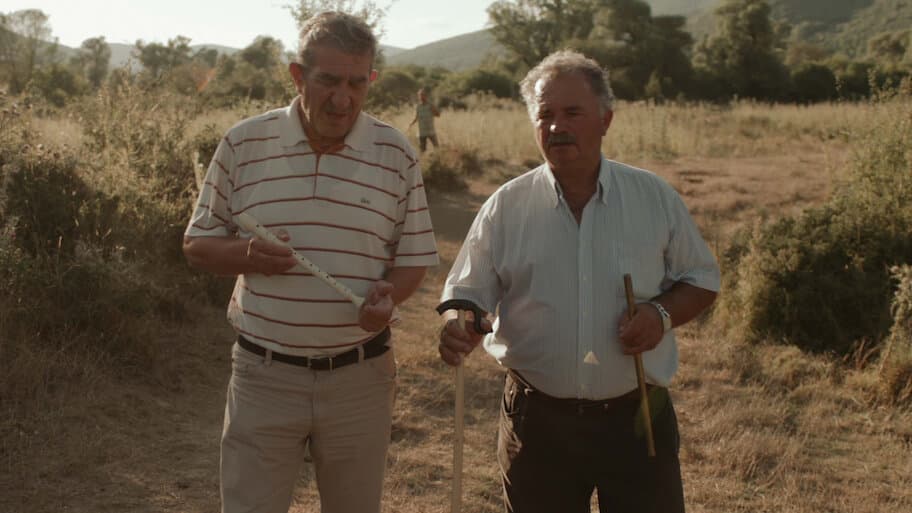 While You Live, Shine