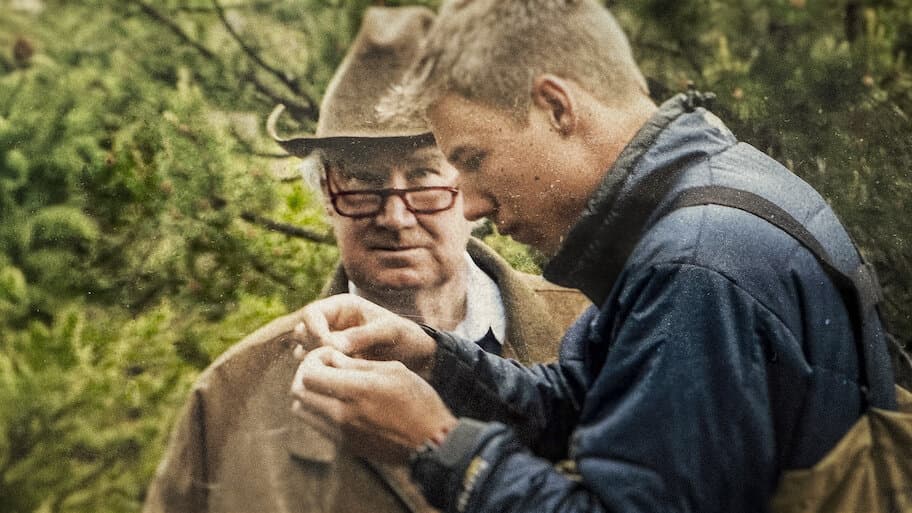 Gold & Greed: The Hunt for Fenn's Treasure