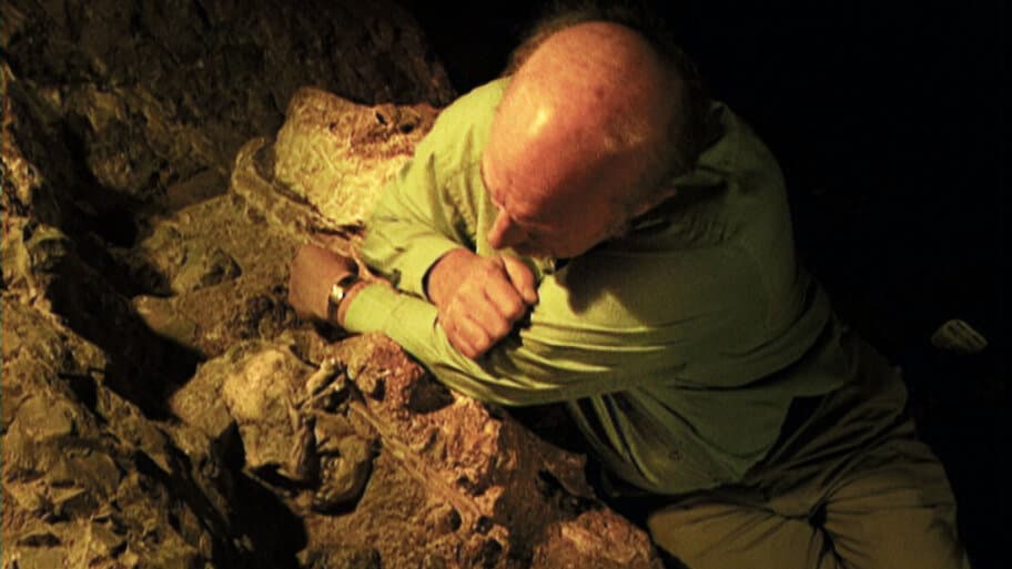 Homo Futurus, the Inside Story