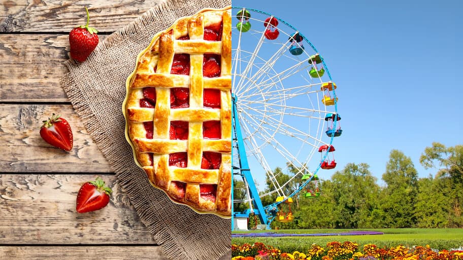 Blue Ribbon Baking Championship