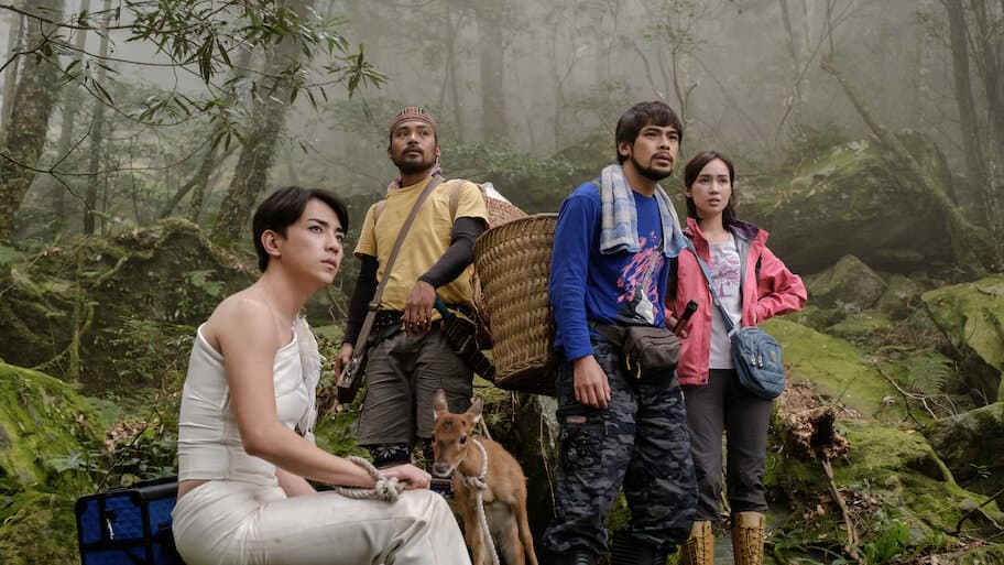 Hidden Treasures in the Mountain