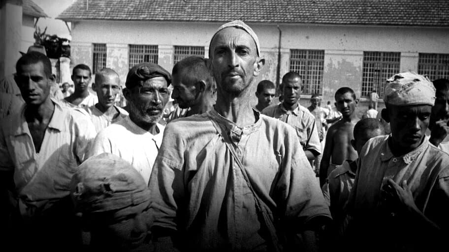 The Brazilian Holocaust