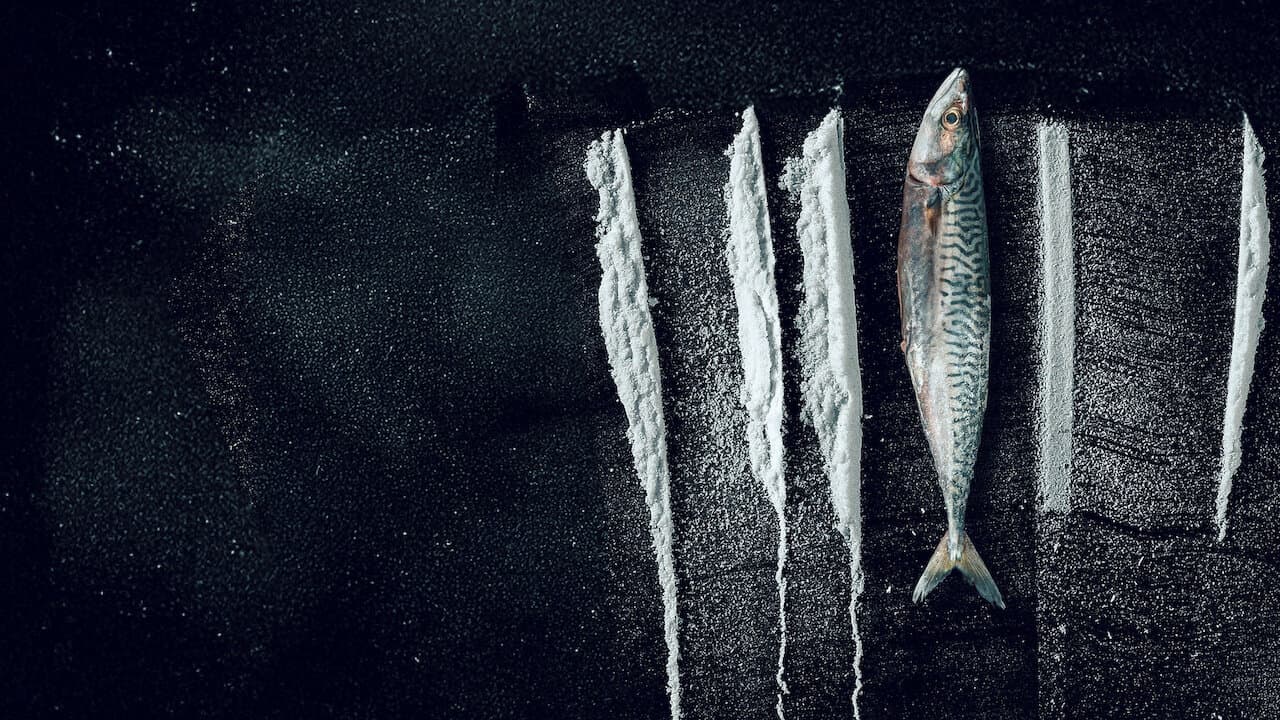 Turn of the Tide: The Surreal Story of Rabo de Peixe