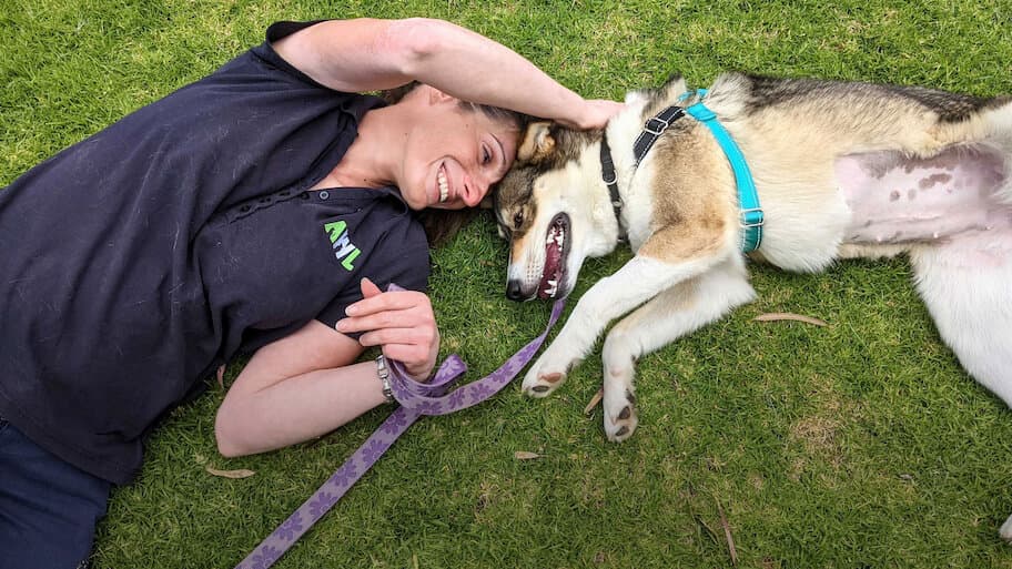 For the Love of Pets