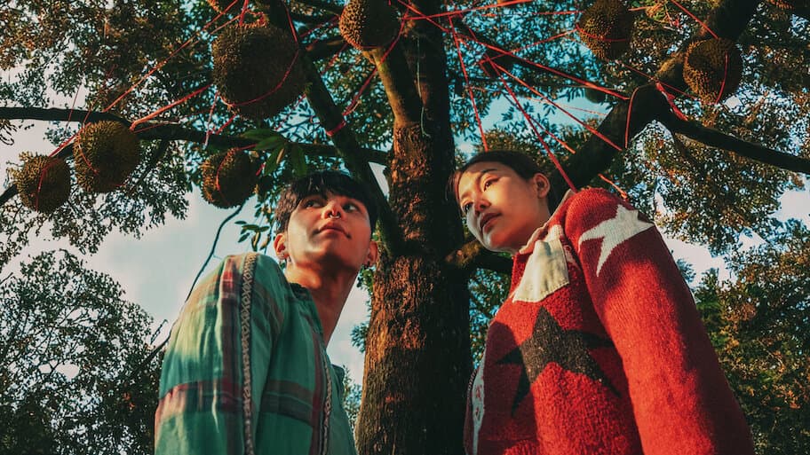 The Paradise of Thorns