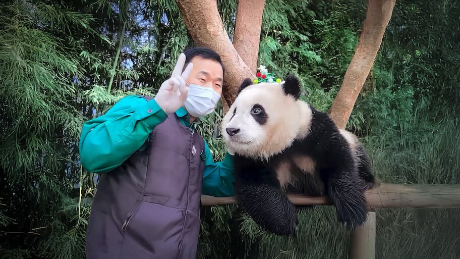 TV Show Fu Bao & Grandpa