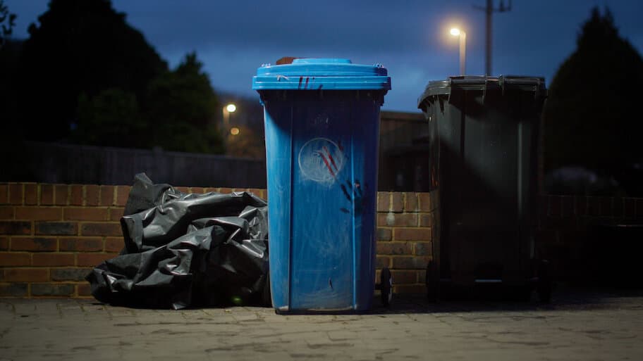 Body in the Bin: The Murder of Louise Kam