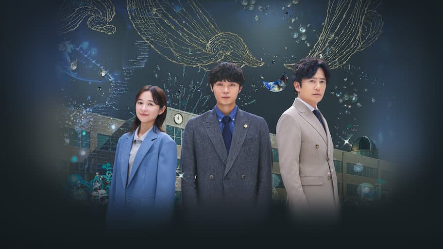 School Lawyer: Finding the Colors of the Stars