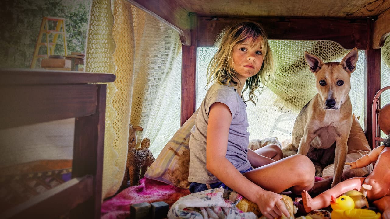 Don't Let's Go to the Dogs Tonight