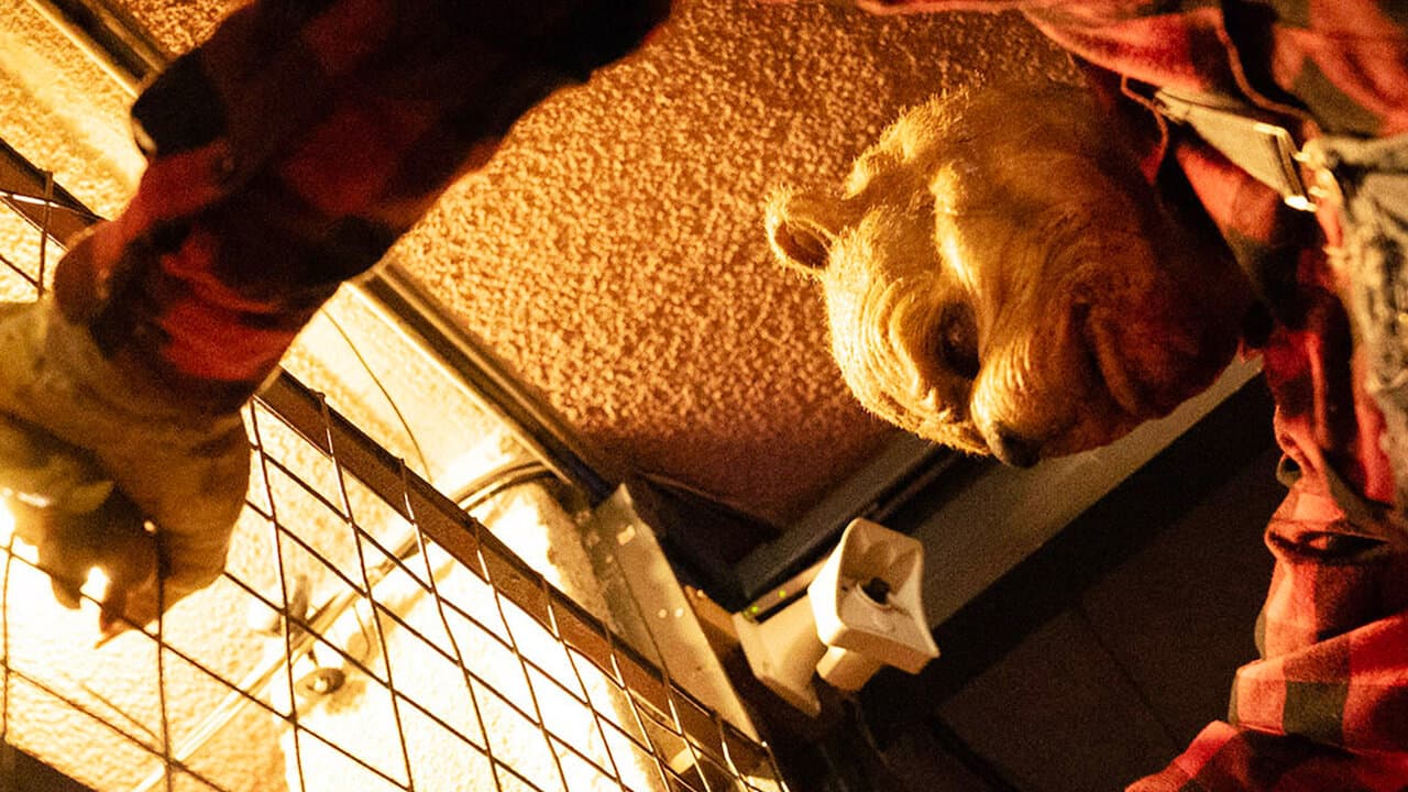 Winnie-the-Pooh: Blood and Honey 2