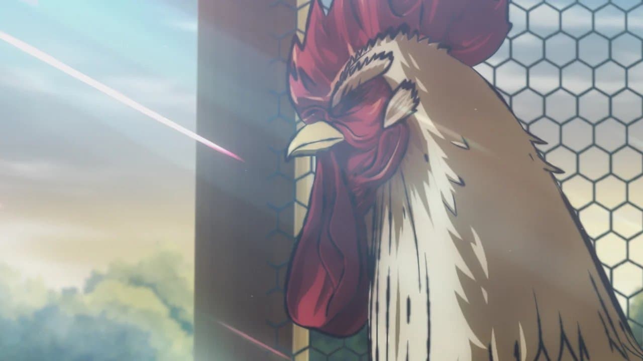 Rooster Fighter