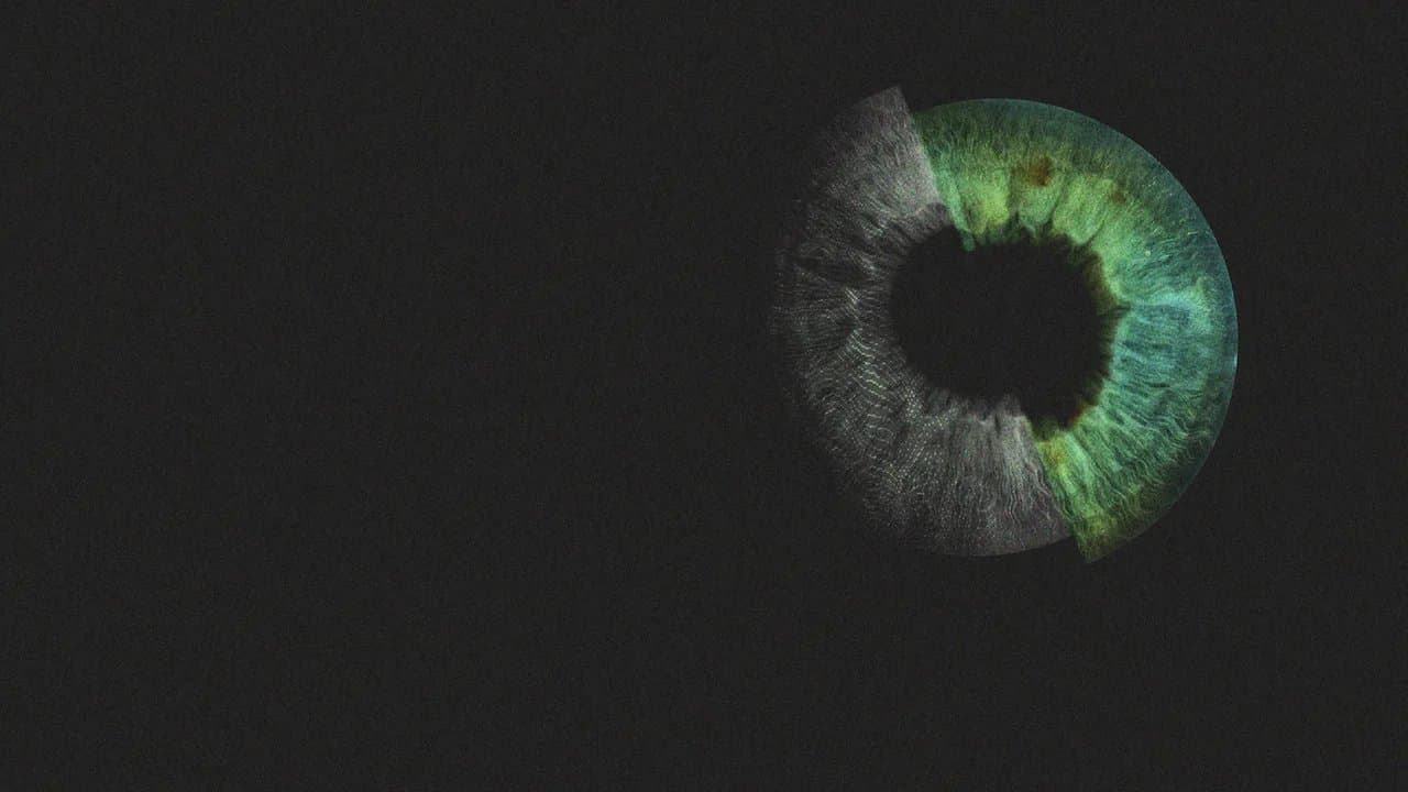 Caterpillar - Documentaries on Netflix