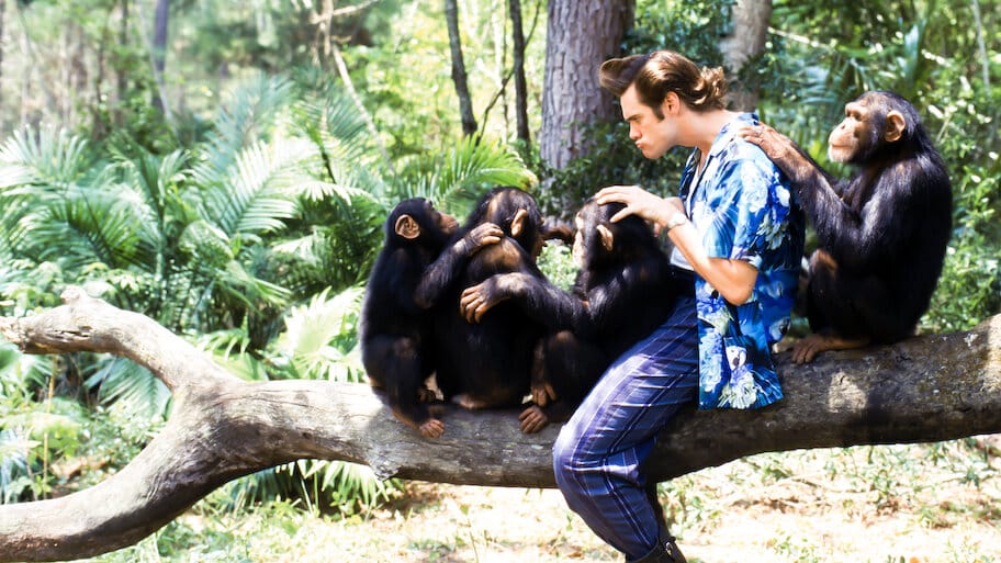 Ace Ventura: When Nature Calls backdrop