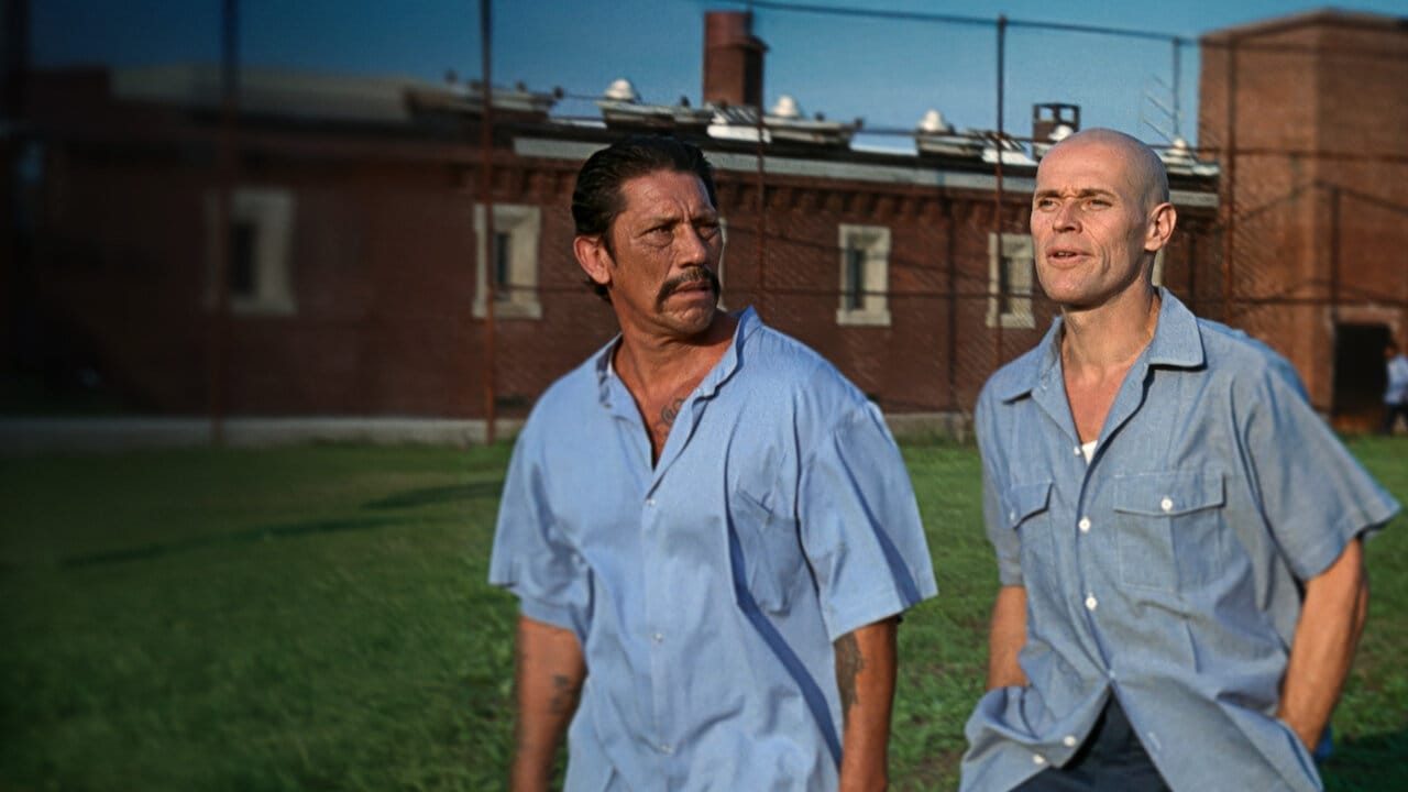 Animal Factory backdrop