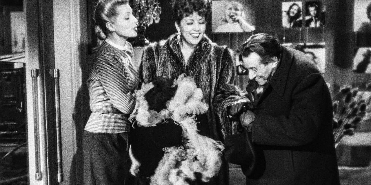 Quai des Orfevres backdrop