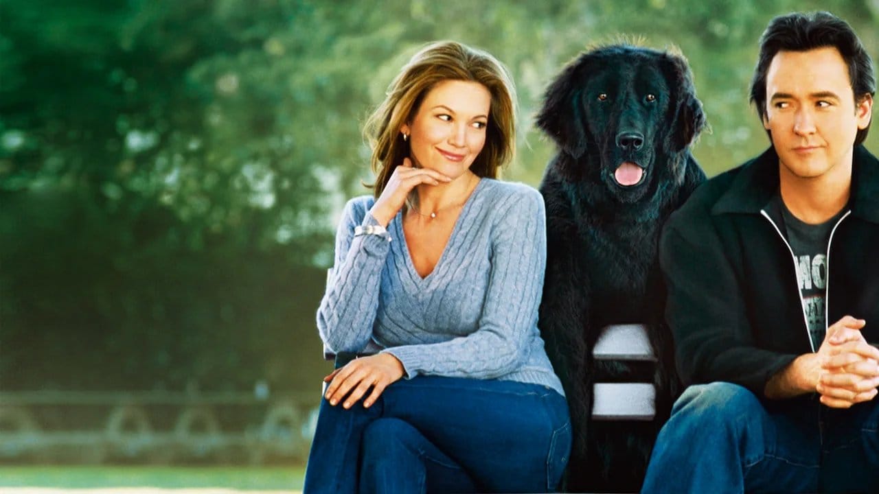 Must Love Dogs backdrop