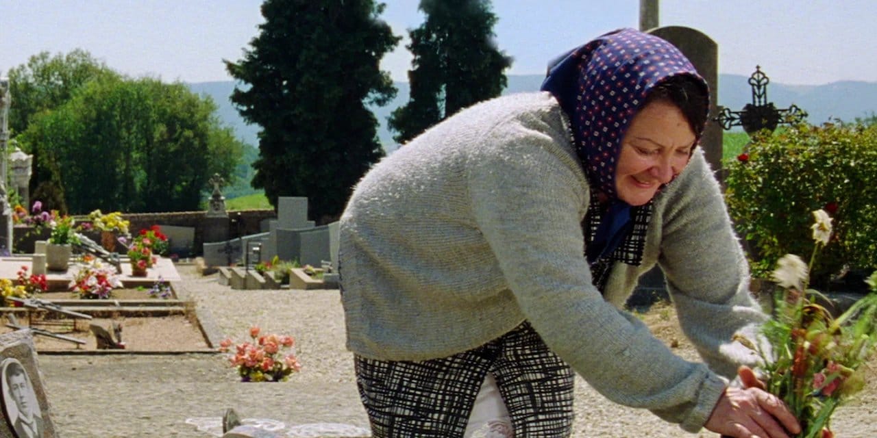 A Crime in Paradise backdrop