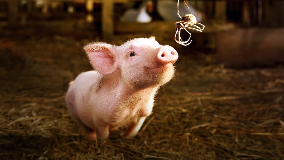 Charlotte's Web backdrop